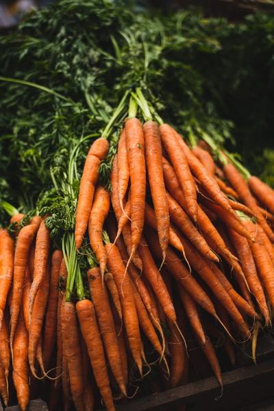 carrot