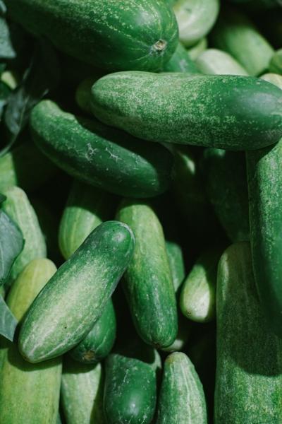 cucumber