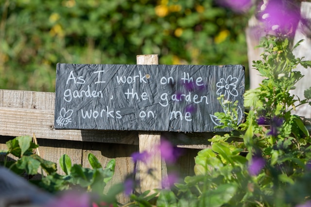 About Plant Wise